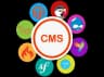 CMS Development