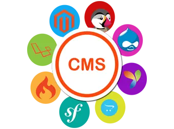 CMS Development