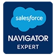 Salesforce Navigator Expert badge 